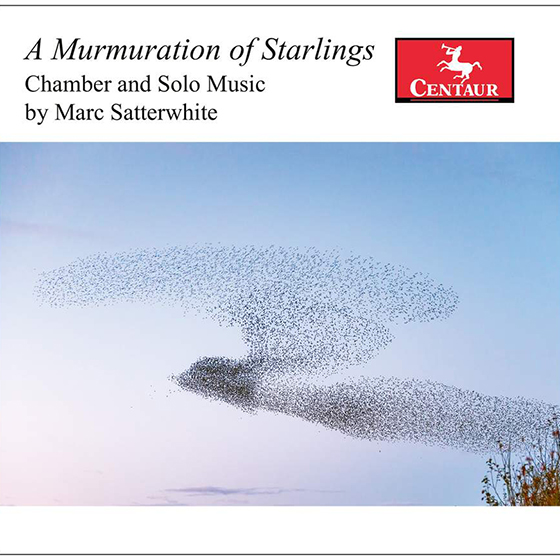 A murmuration of Starlings